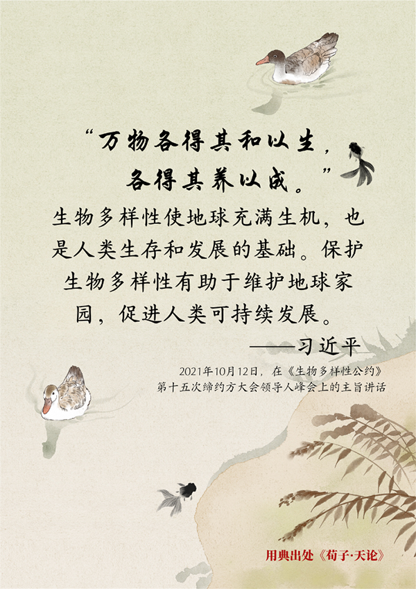 第一报道 | 共建清洁美丽世界，习近平“典”明中国智慧